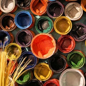 Curso: Activación sensorial de la organización