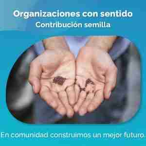 Ruta de aprendizaje: Desarrollo de organizaciones con sentido - Semilla $80