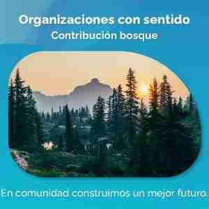 Ruta de aprendizaje: Desarrollo de organizaciones con sentido - Bosque $8,000