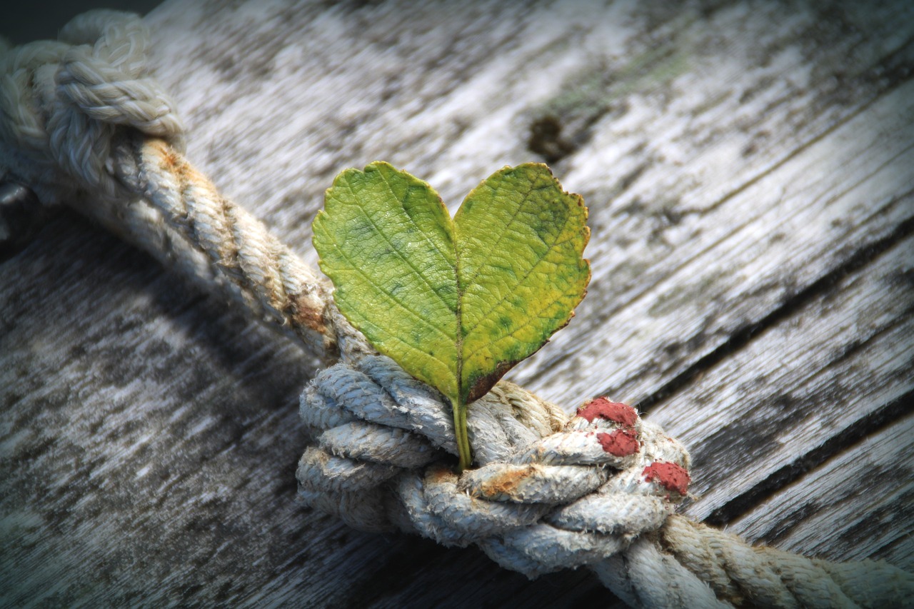 heart, leaf, rope