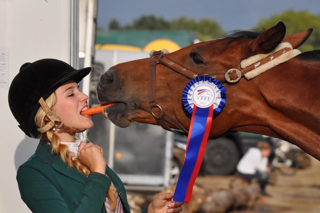 horse, girl, winner