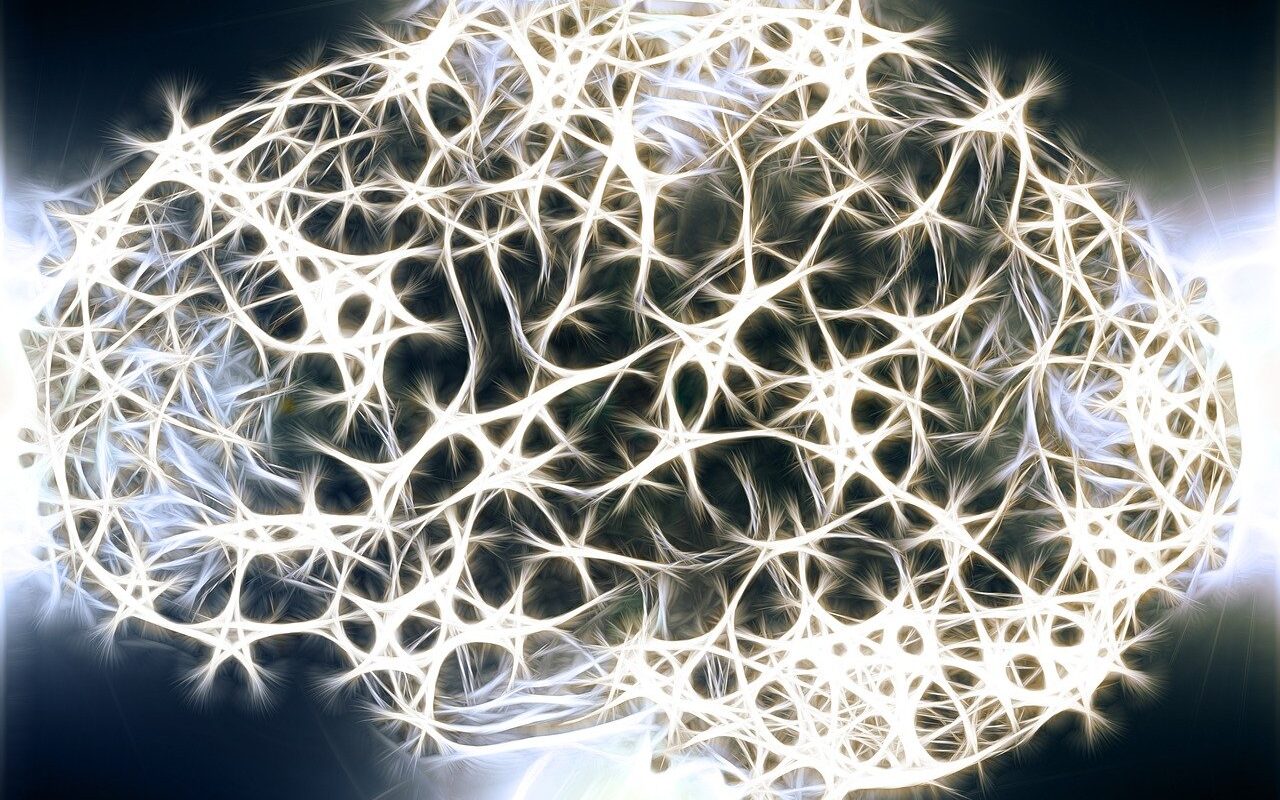 neurons, brain cells, brain structure