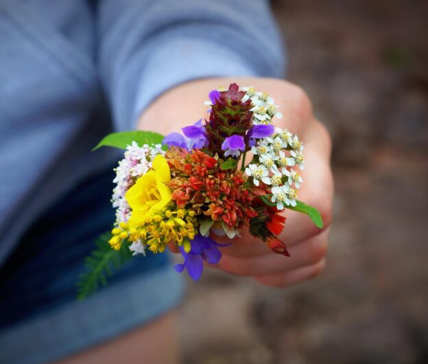 Detalles