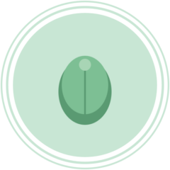Semilla