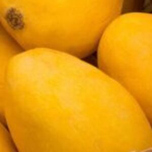 Foto de perfil de Fresh mango price in Pakistan Fresh mango price in Pakistan
